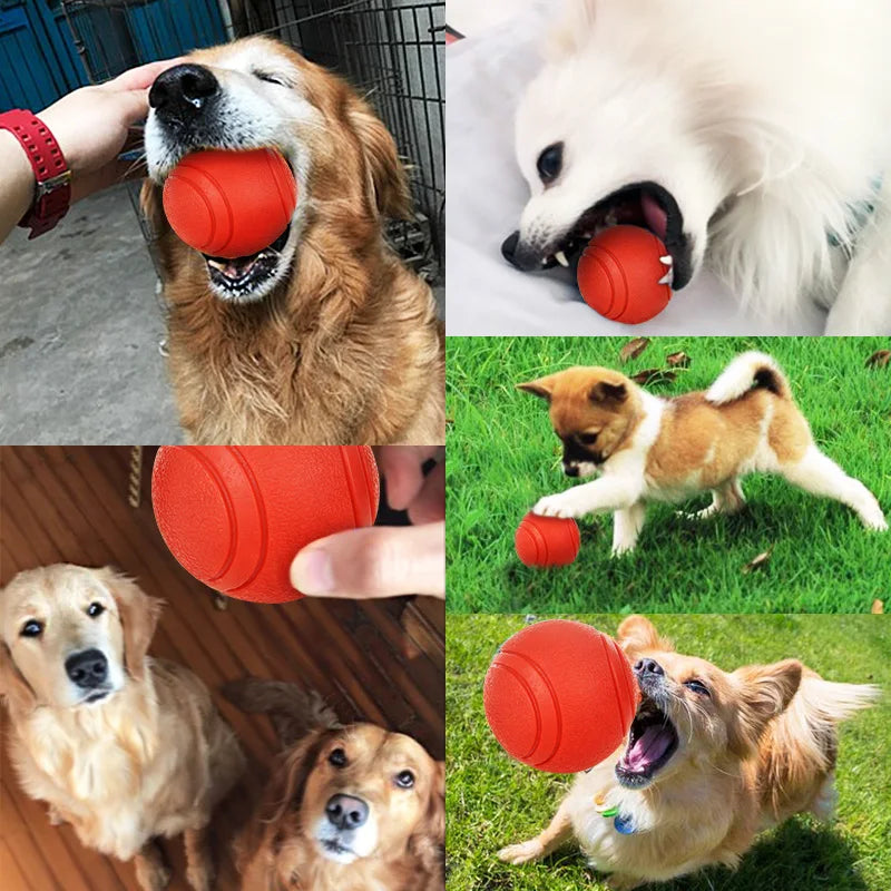 Dog Toy Rubber Ball Bite-resistant Ball Toy