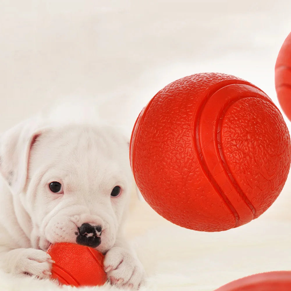 Dog Toy Rubber Ball Bite-resistant Ball Toy