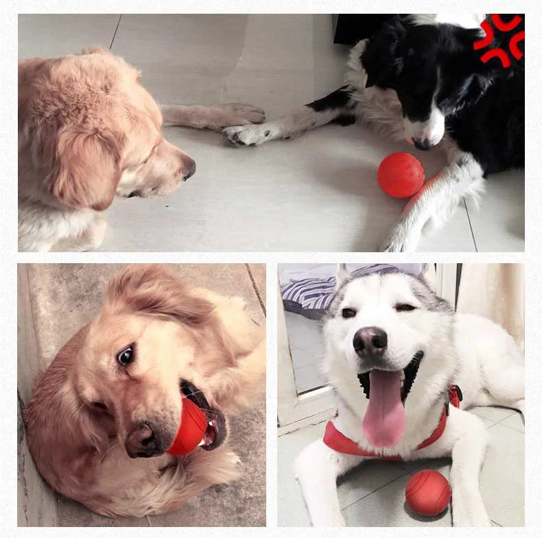 Dog Toy Rubber Ball Bite-resistant Ball Toy