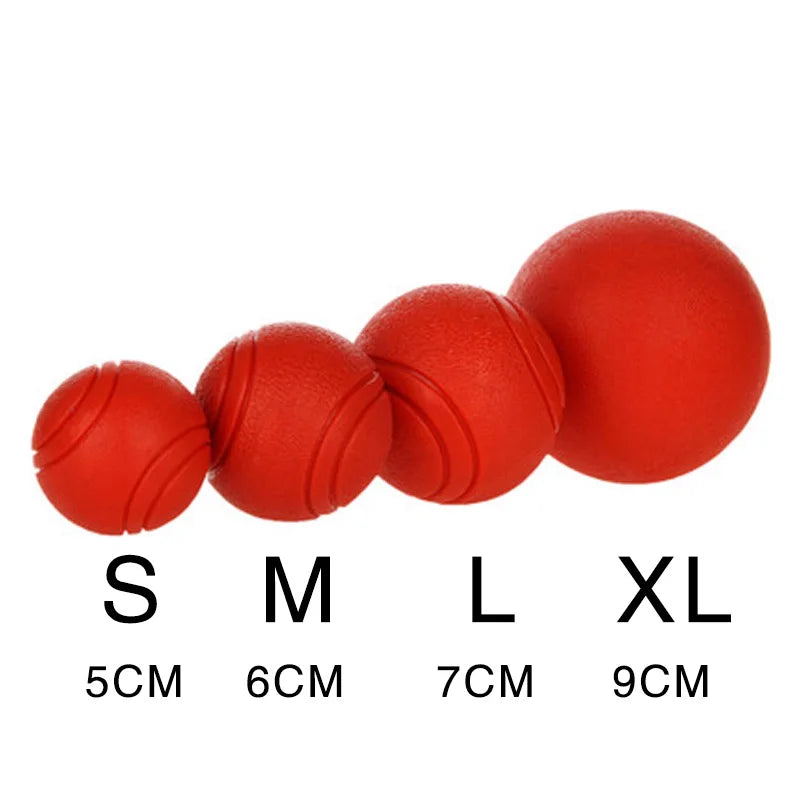 Dog Toy Rubber Ball Bite-resistant Ball Toy