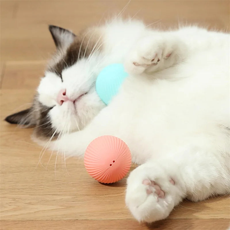 Electronic Interactive Pet Toy Moving Ball