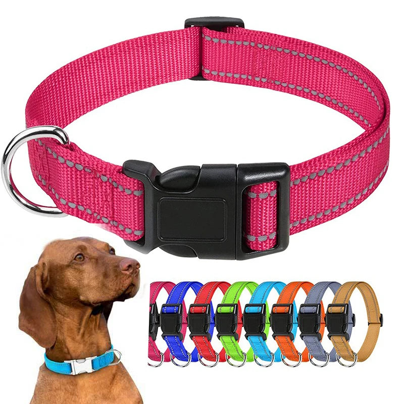 Dog Neck Collars