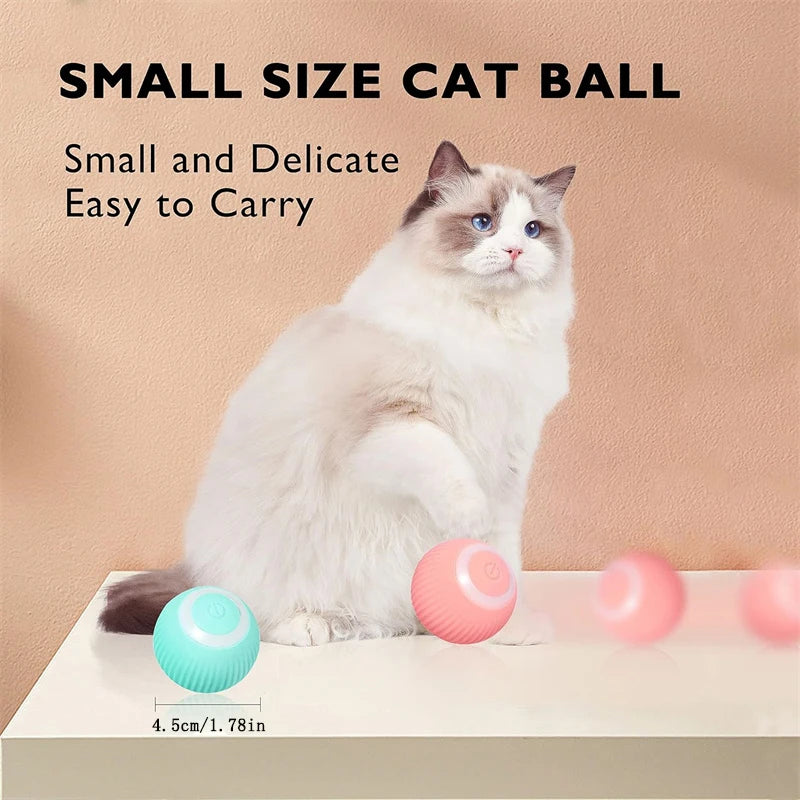 Electronic Interactive Pet Toy Moving Ball