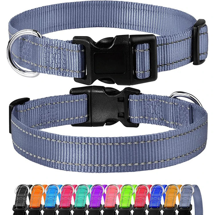 Dog Neck Collars