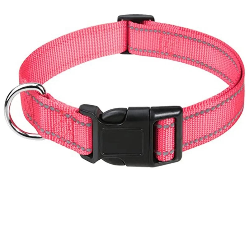 Dog Neck Collars