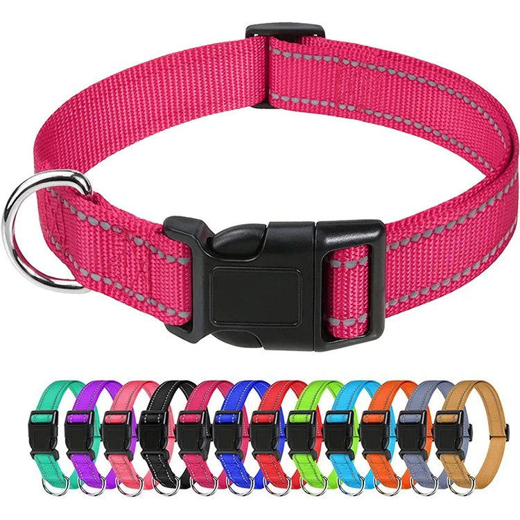 Dog Neck Collars