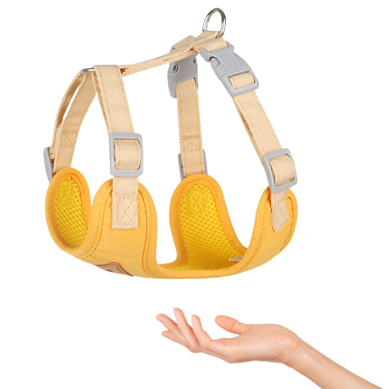 Puppy Harness Leash Set