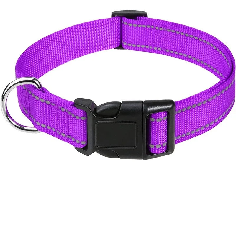 Dog Neck Collars