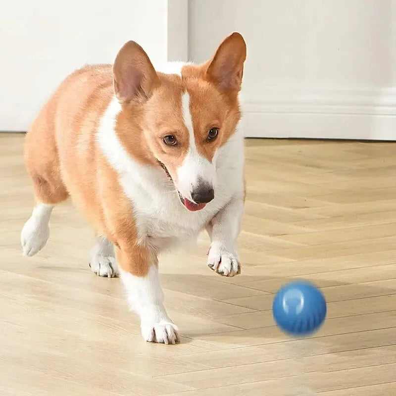 Electronic Interactive Pet Toy Moving Ball