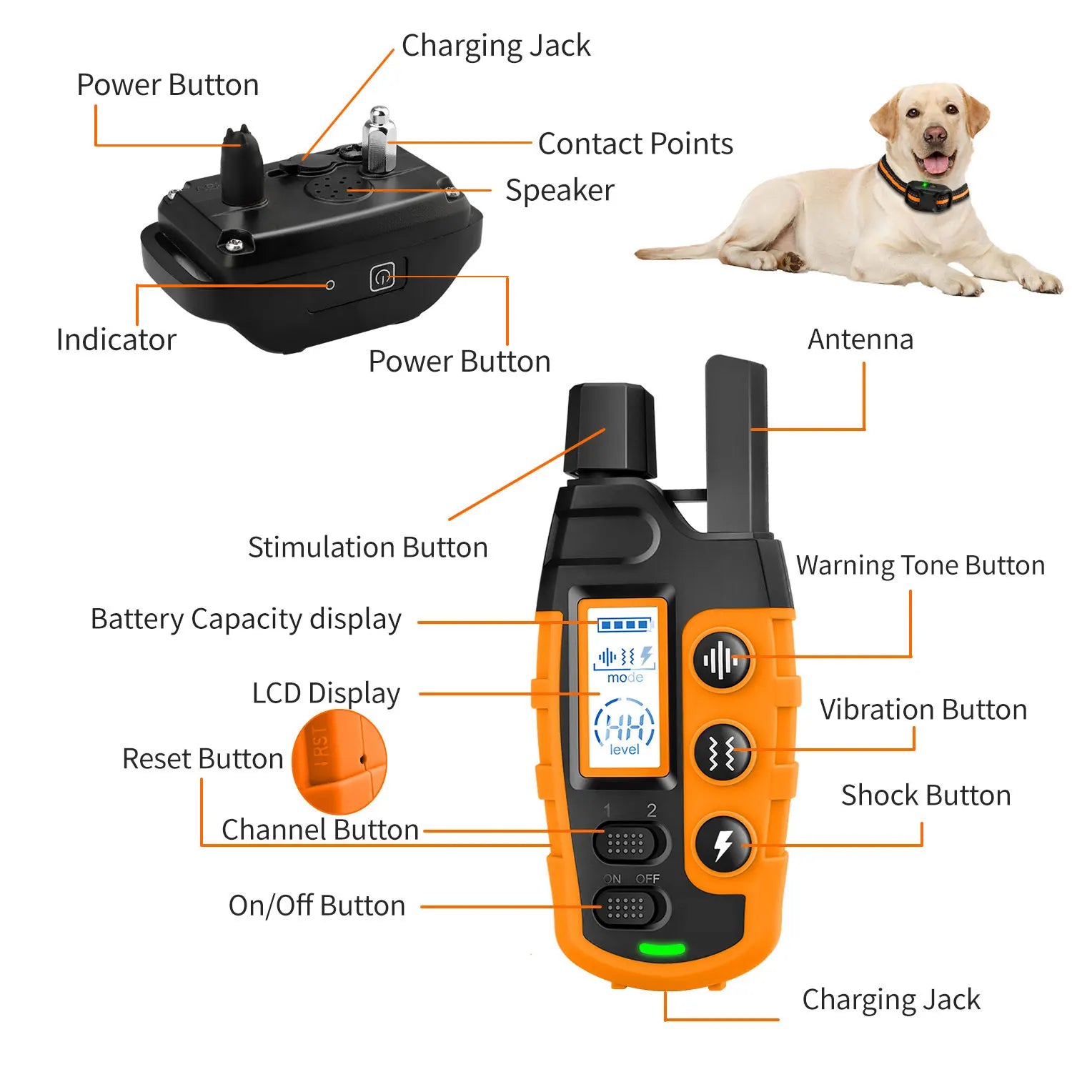 Dog Training Collar Remote Control