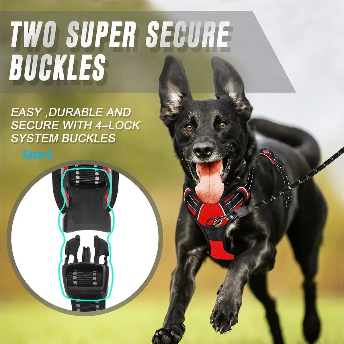 Heavy Duty Reflective Easy Control Handle for Large Dog Walking