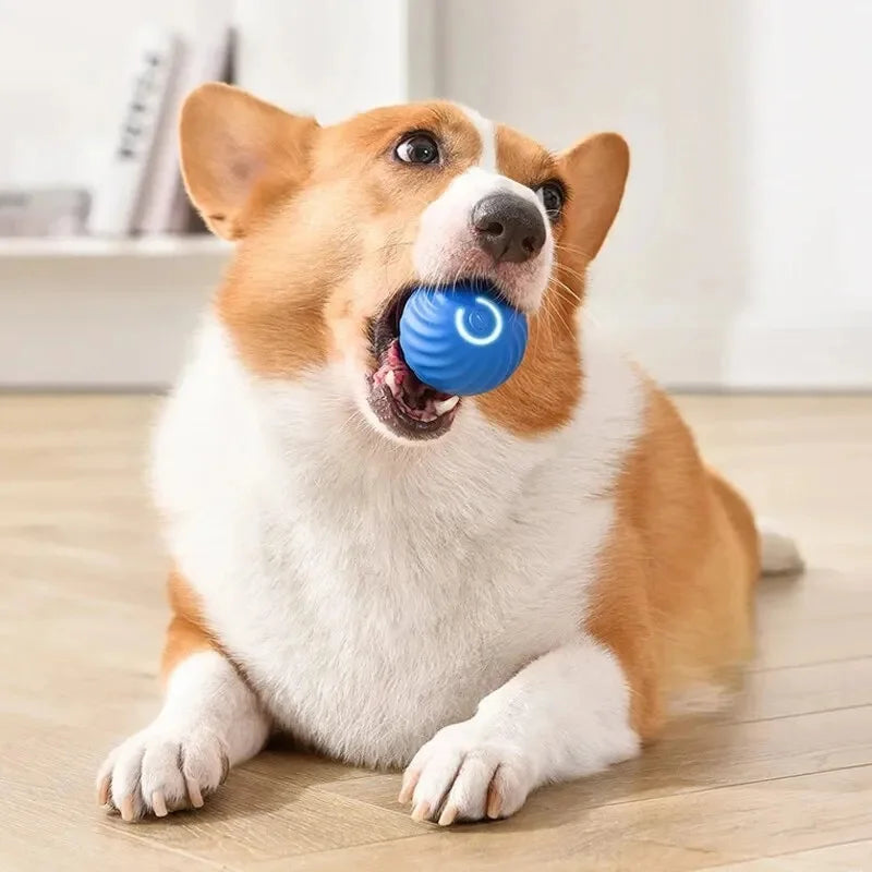 Electronic Interactive Pet Toy Moving Ball