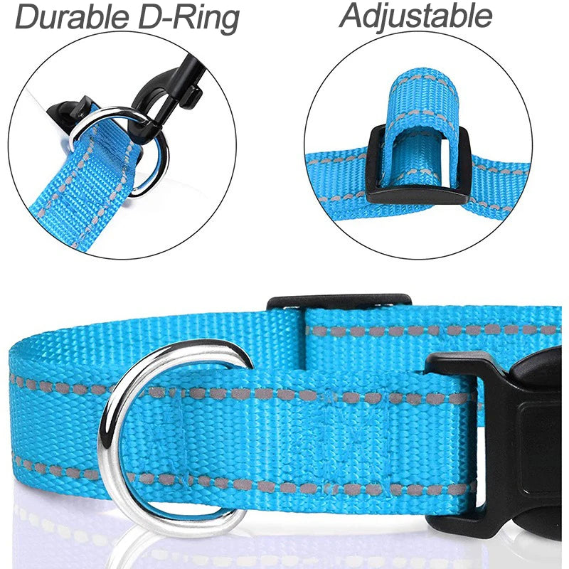 Dog Neck Collars
