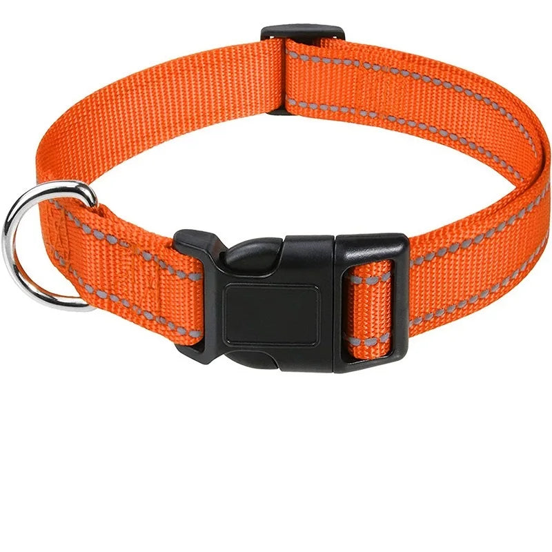 Dog Neck Collars