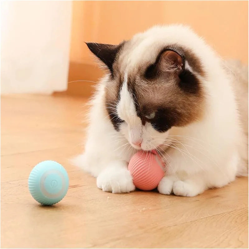 Electronic Interactive Pet Toy Moving Ball