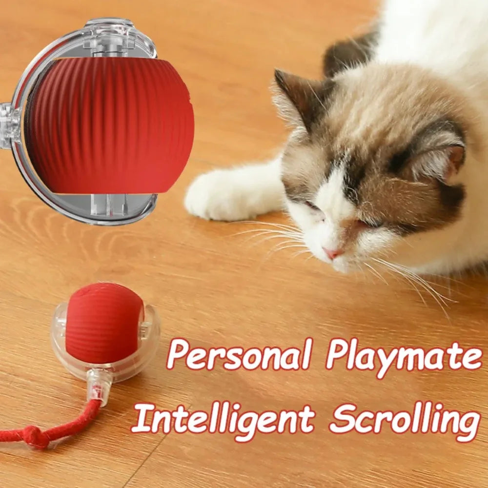 Cat Interactive Ball Toy