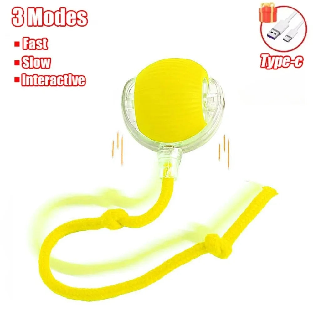 Cat Interactive Ball Toy