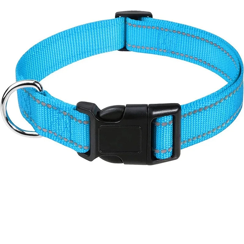 Dog Neck Collars