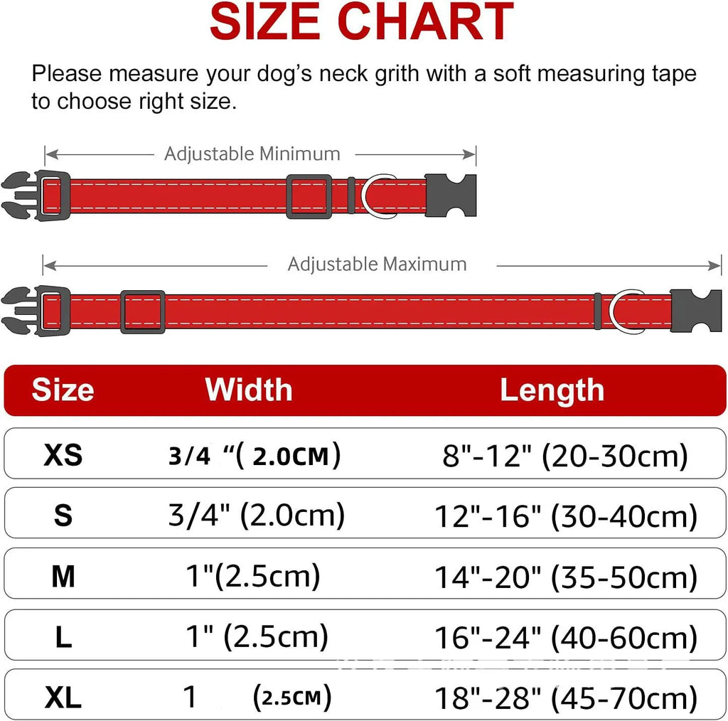 Dog Neck Collars