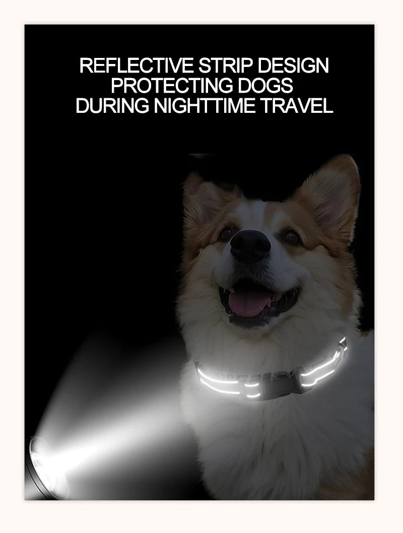 Dog Neck Collars