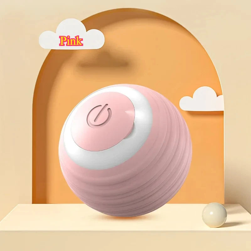 Cat Interactive Ball Toy