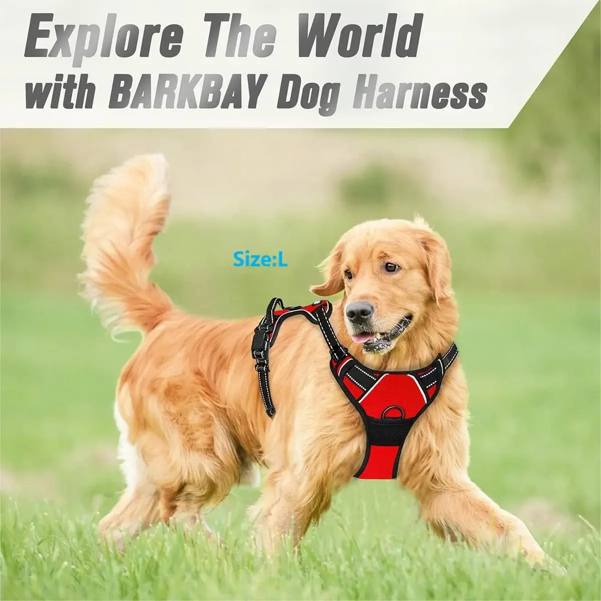 Heavy Duty Reflective Easy Control Handle for Large Dog Walking