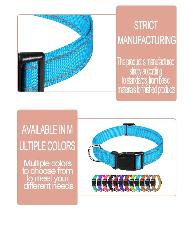Dog Neck Collars