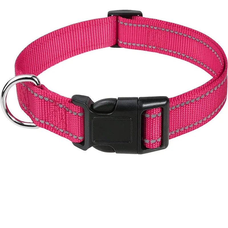 Dog Neck Collars