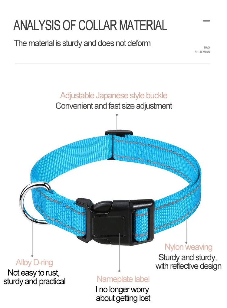 Dog Neck Collars