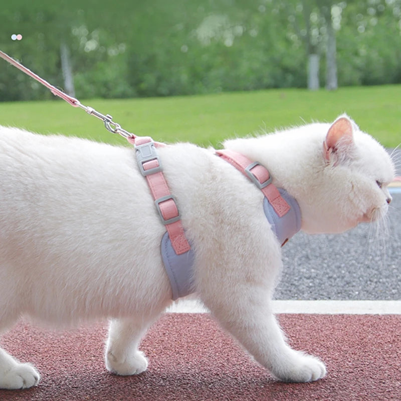 Puppy Harness Leash Set