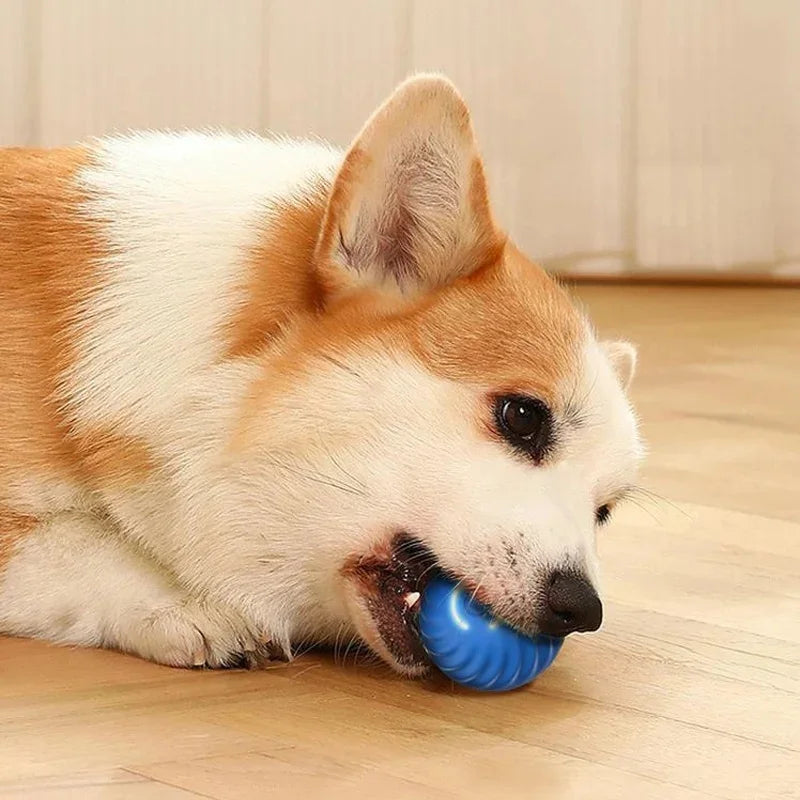 Electronic Interactive Pet Toy Moving Ball