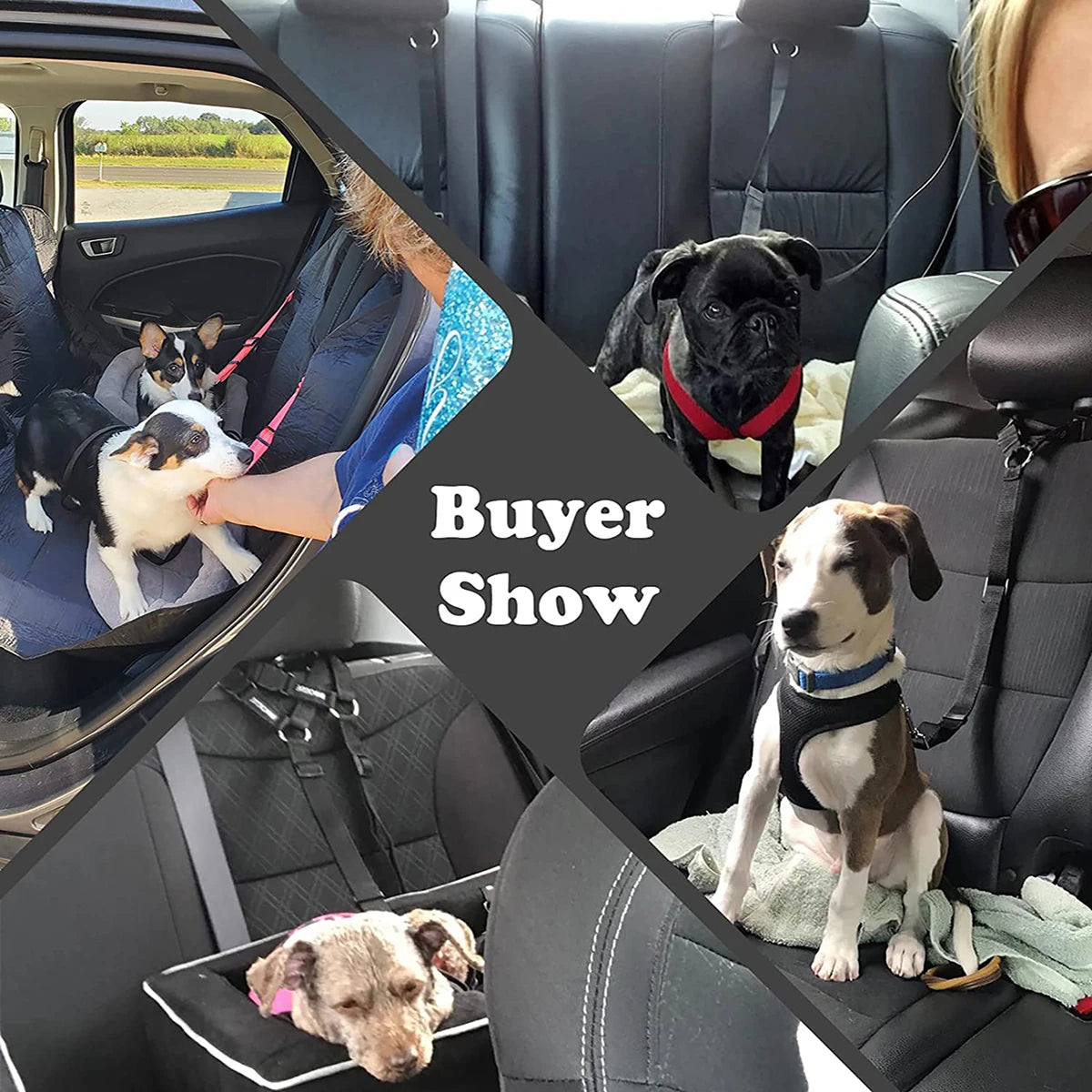 Pet Dog And Cat Seat Belt