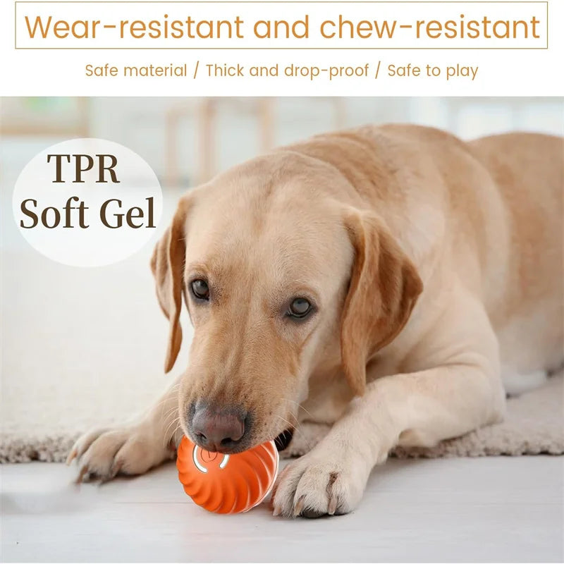Electronic Interactive Pet Toy Moving Ball