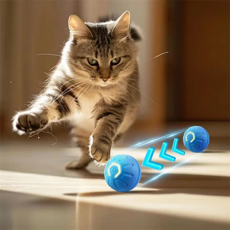 Electronic Interactive Pet Toy Moving Ball