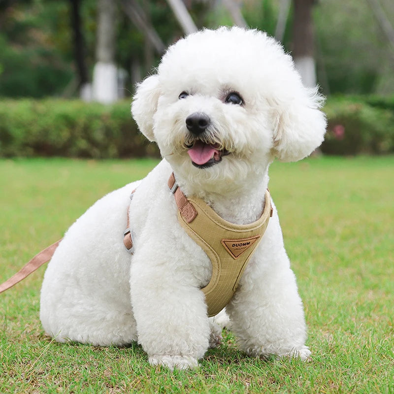 Puppy Harness Leash Set
