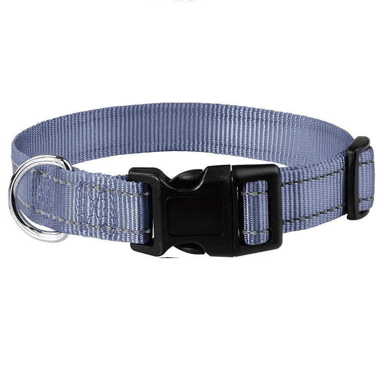 Dog Neck Collars
