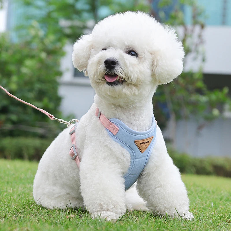 Puppy Harness Leash Set