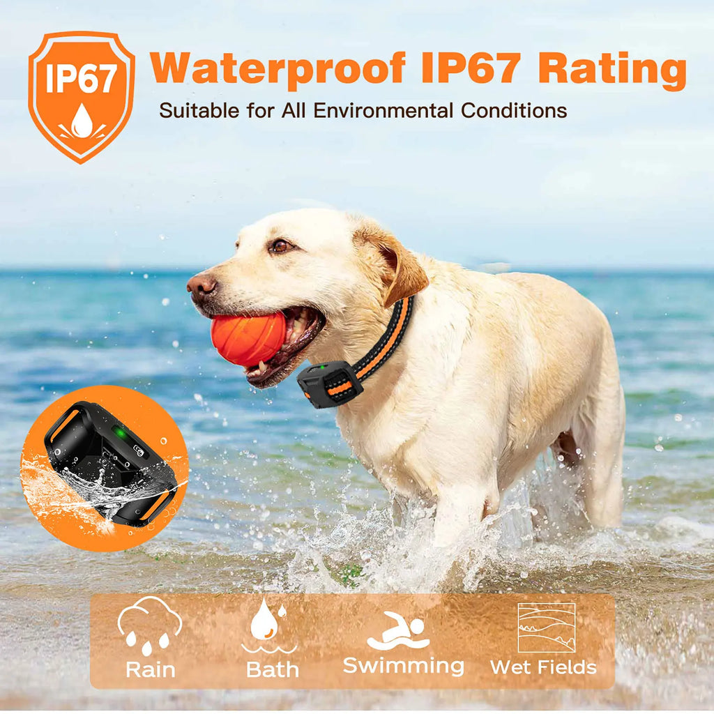 Dog Training Collar Remote Control