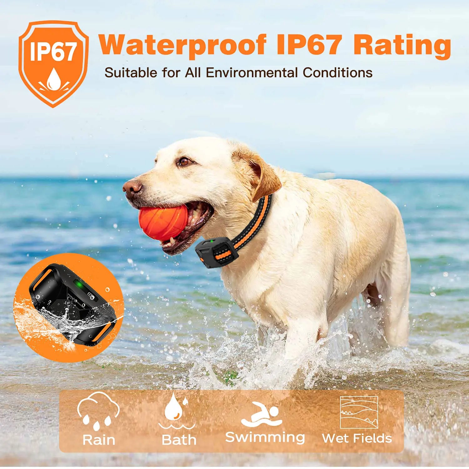 Dog Training Collar Remote Control