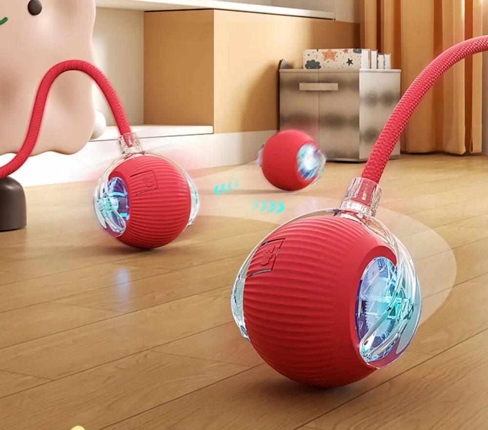 Cat Interactive Ball Toy
