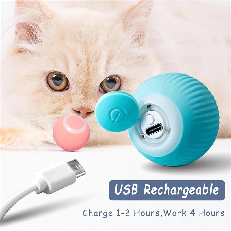 Electronic Interactive Pet Toy Moving Ball