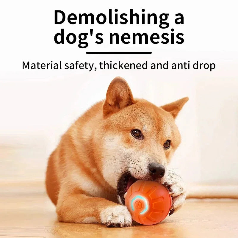Electronic Interactive Pet Toy Moving Ball