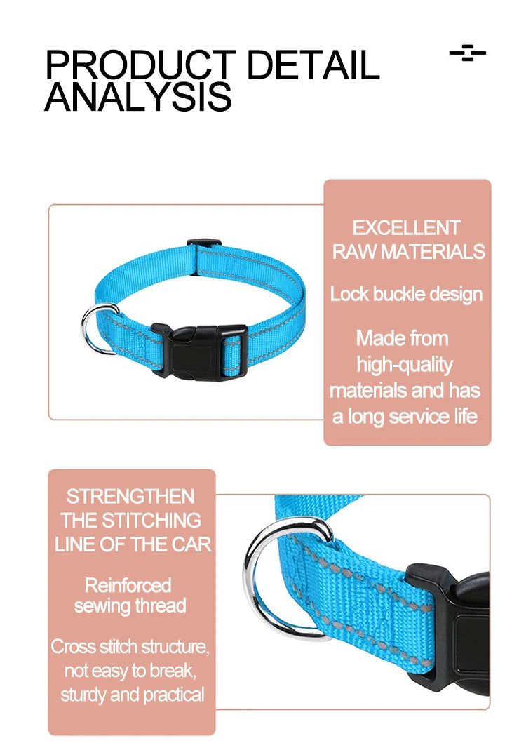 Dog Neck Collars