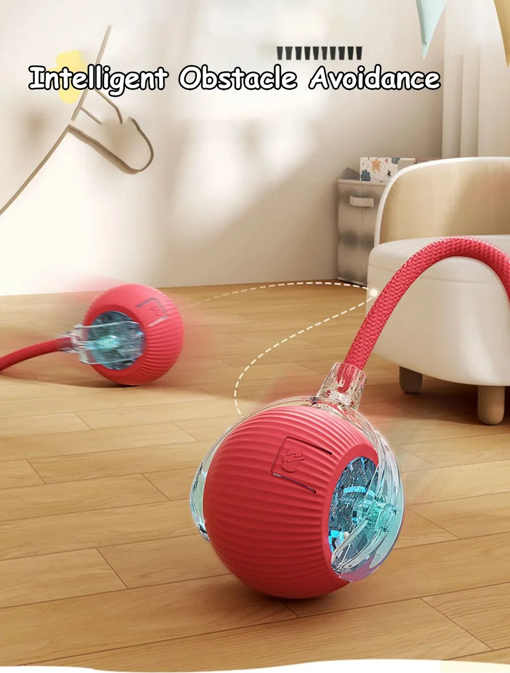 Cat Interactive Ball Toy
