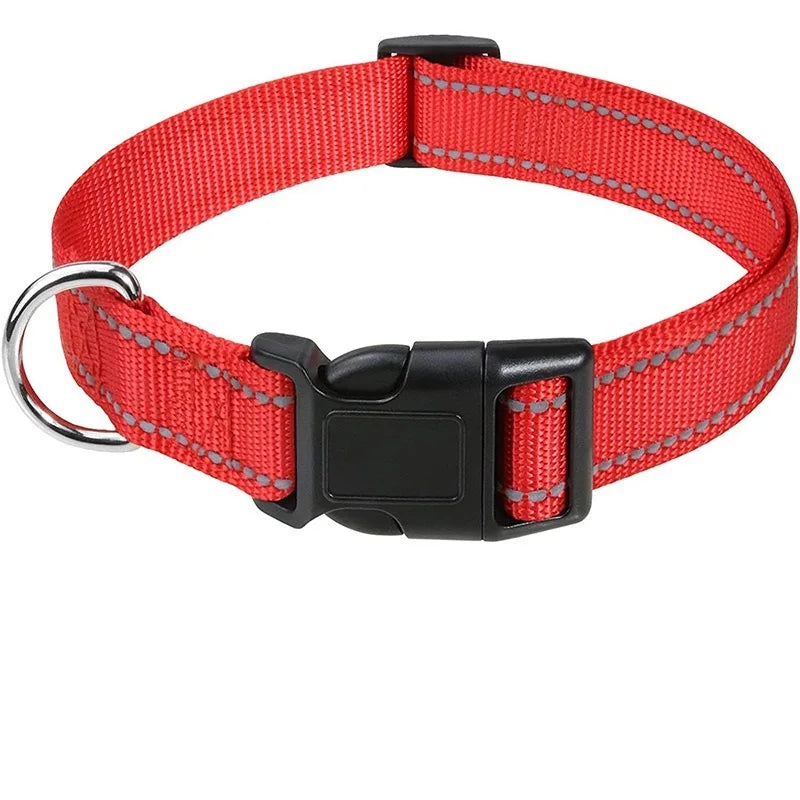 Dog Neck Collars