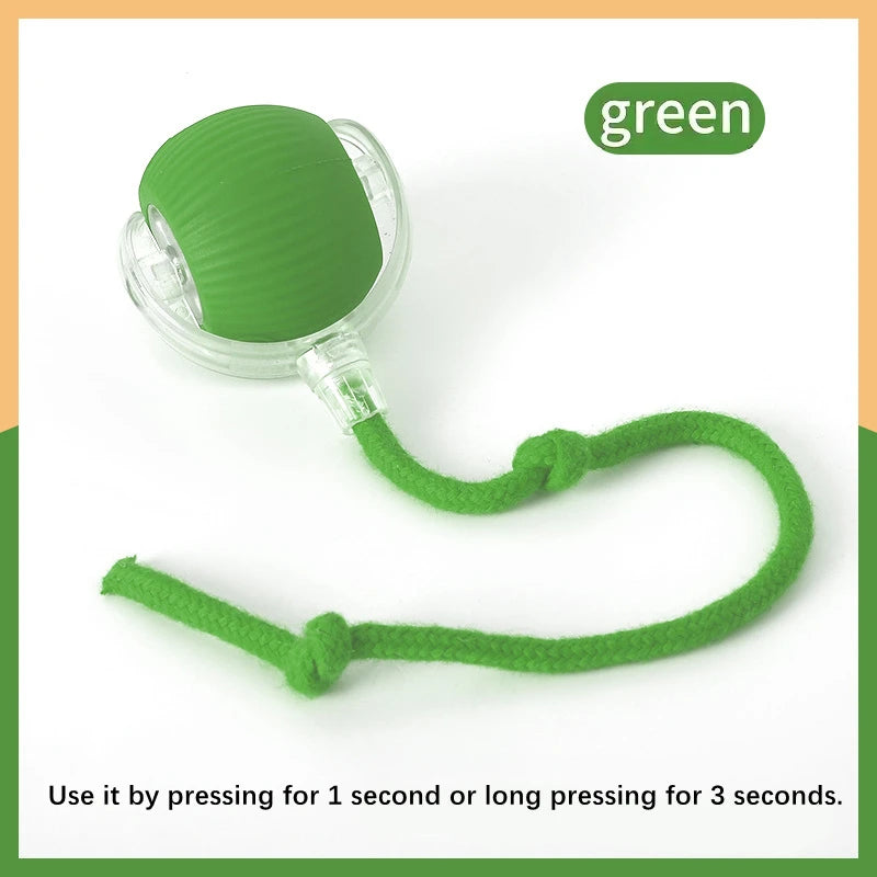 Electronic Interactive Pet Toy Moving Ball