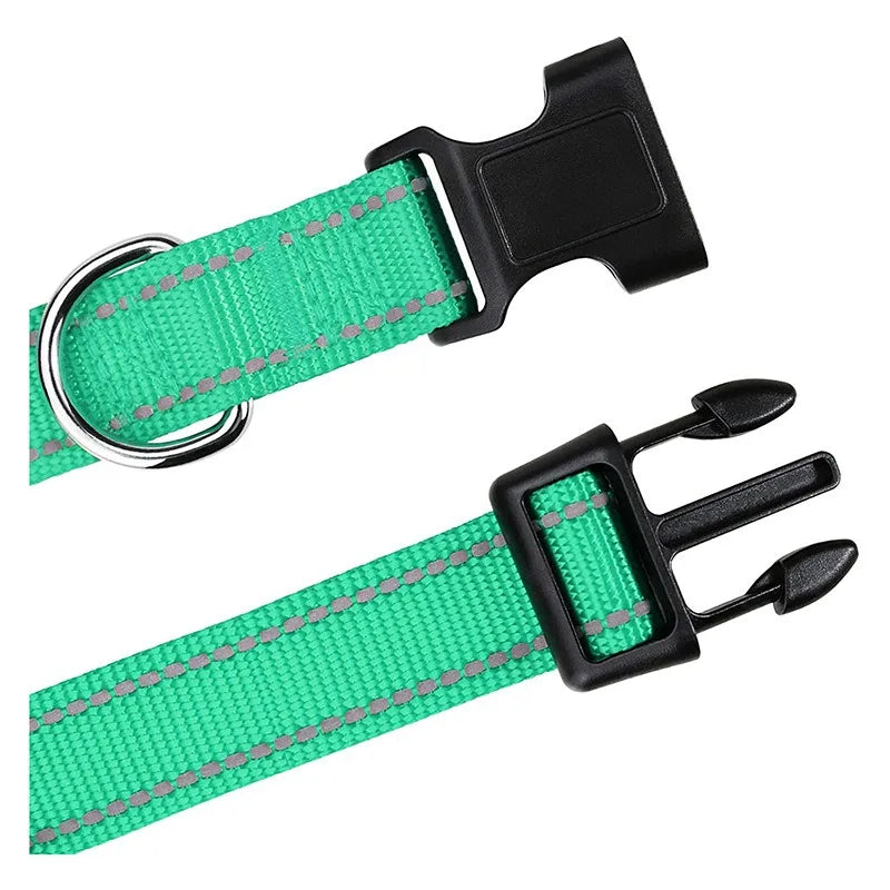 Dog Neck Collars