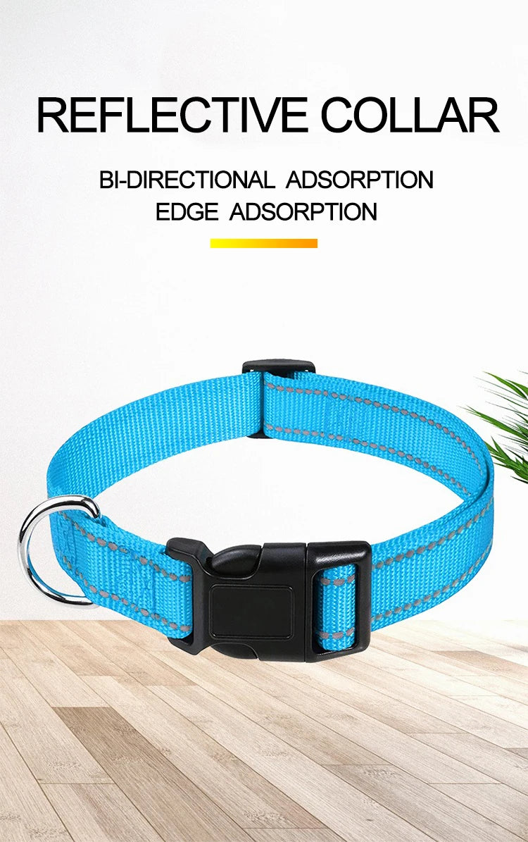 Dog Neck Collars