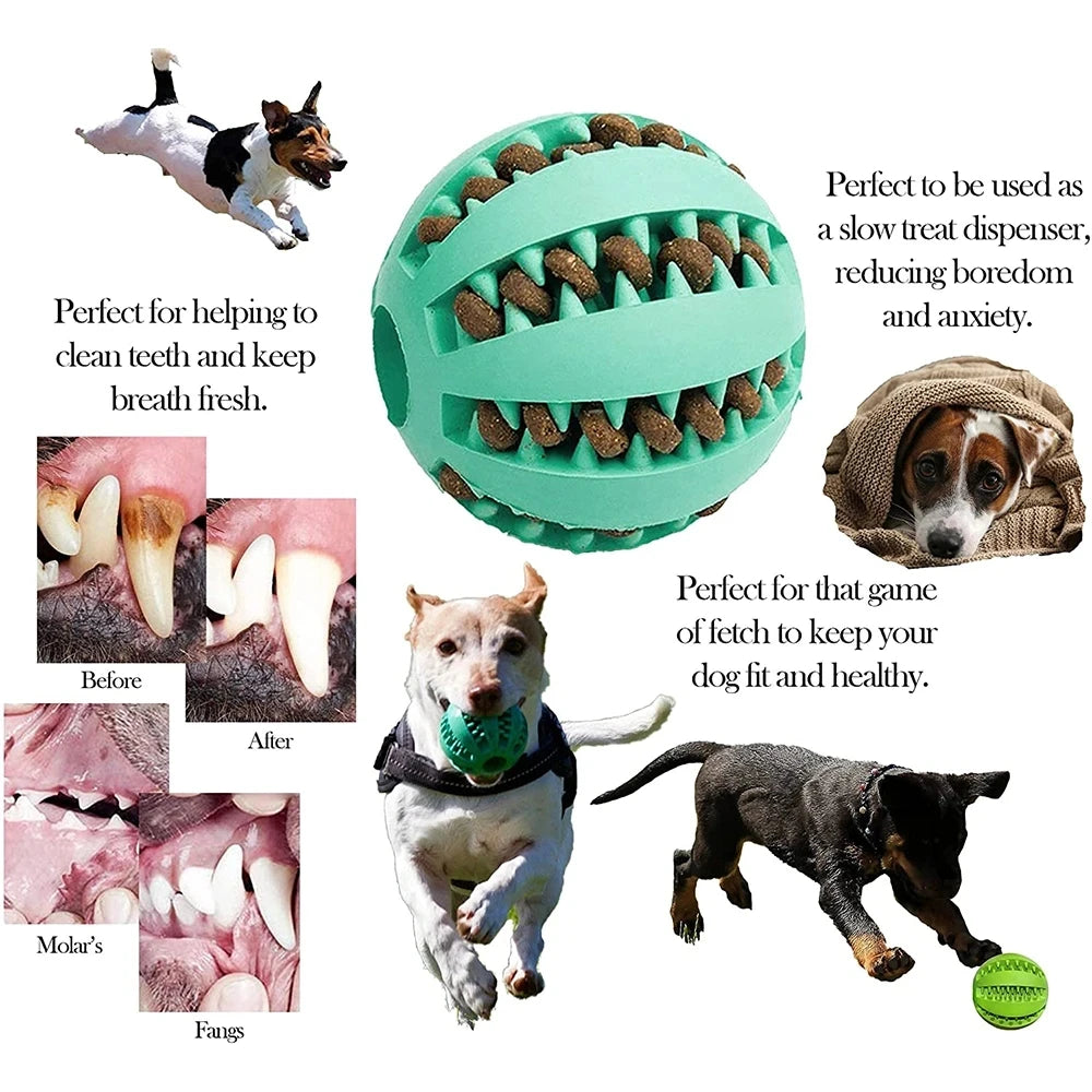 Pet Dog Chewing Ball Toy