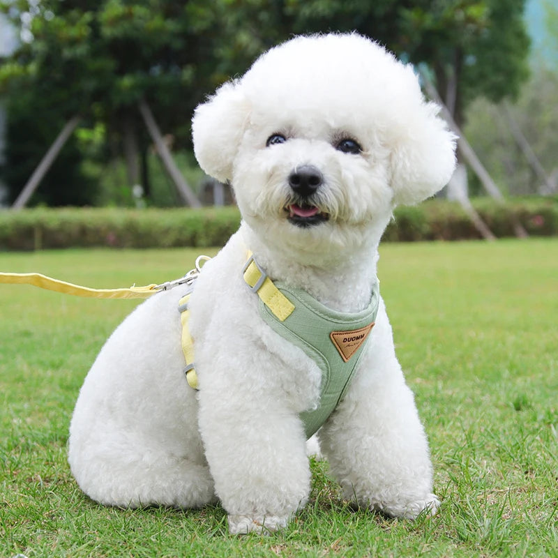 Puppy Harness Leash Set